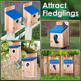 Dreyoo bluebird box includes screws for secure installation.