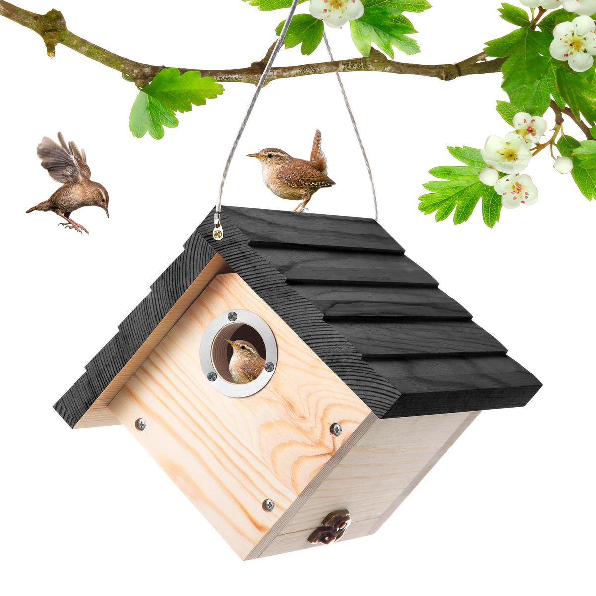 Dreyoo Wren House front view showing sturdy pine construction for outdoor nesting