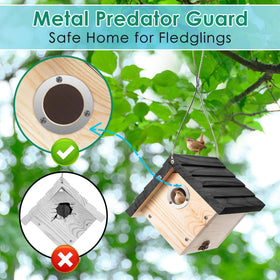Dreyoo Wren House metal guard protects nestlings by deterring larger birds