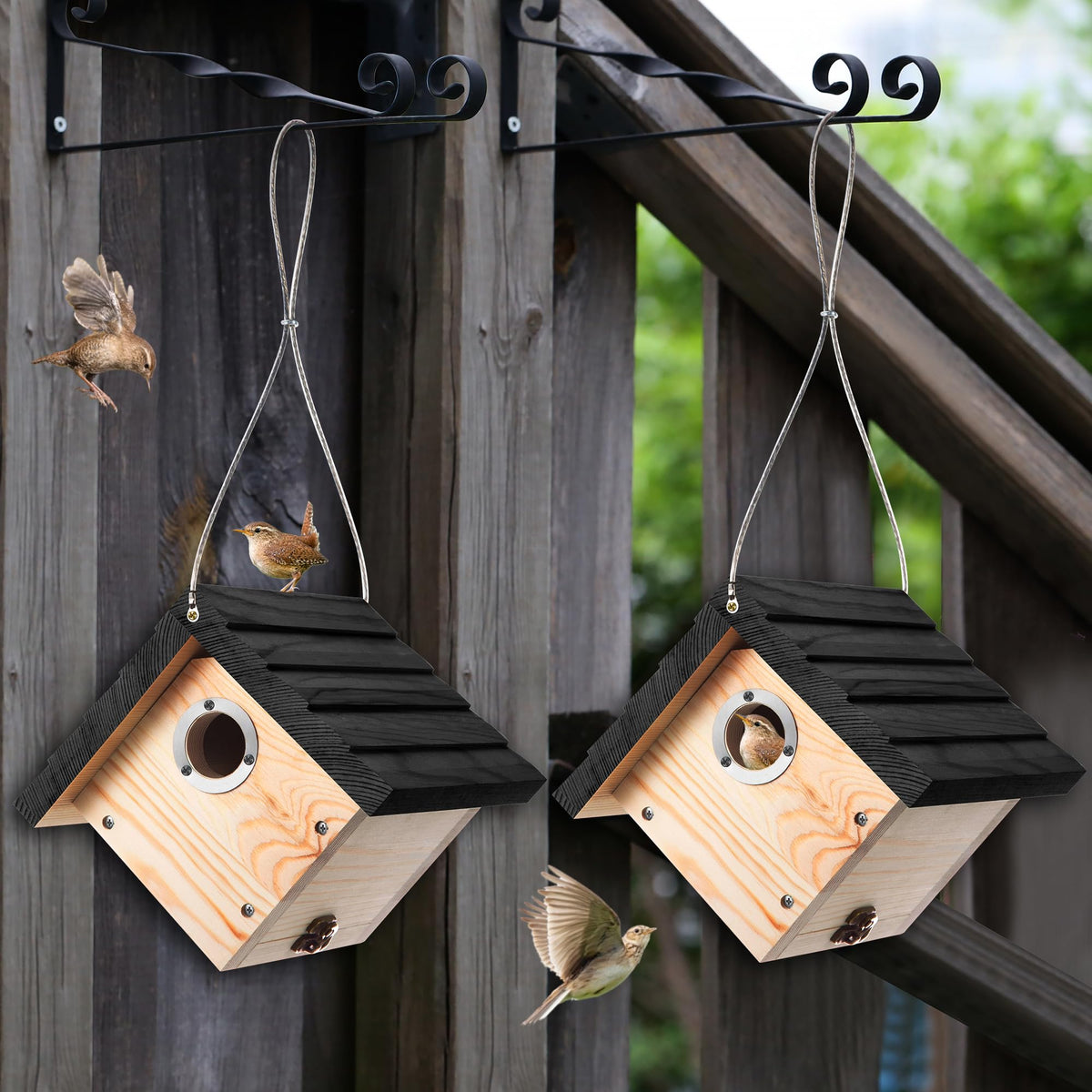 Dreyoo Wren House weather-resistant pine construction for outdoor use