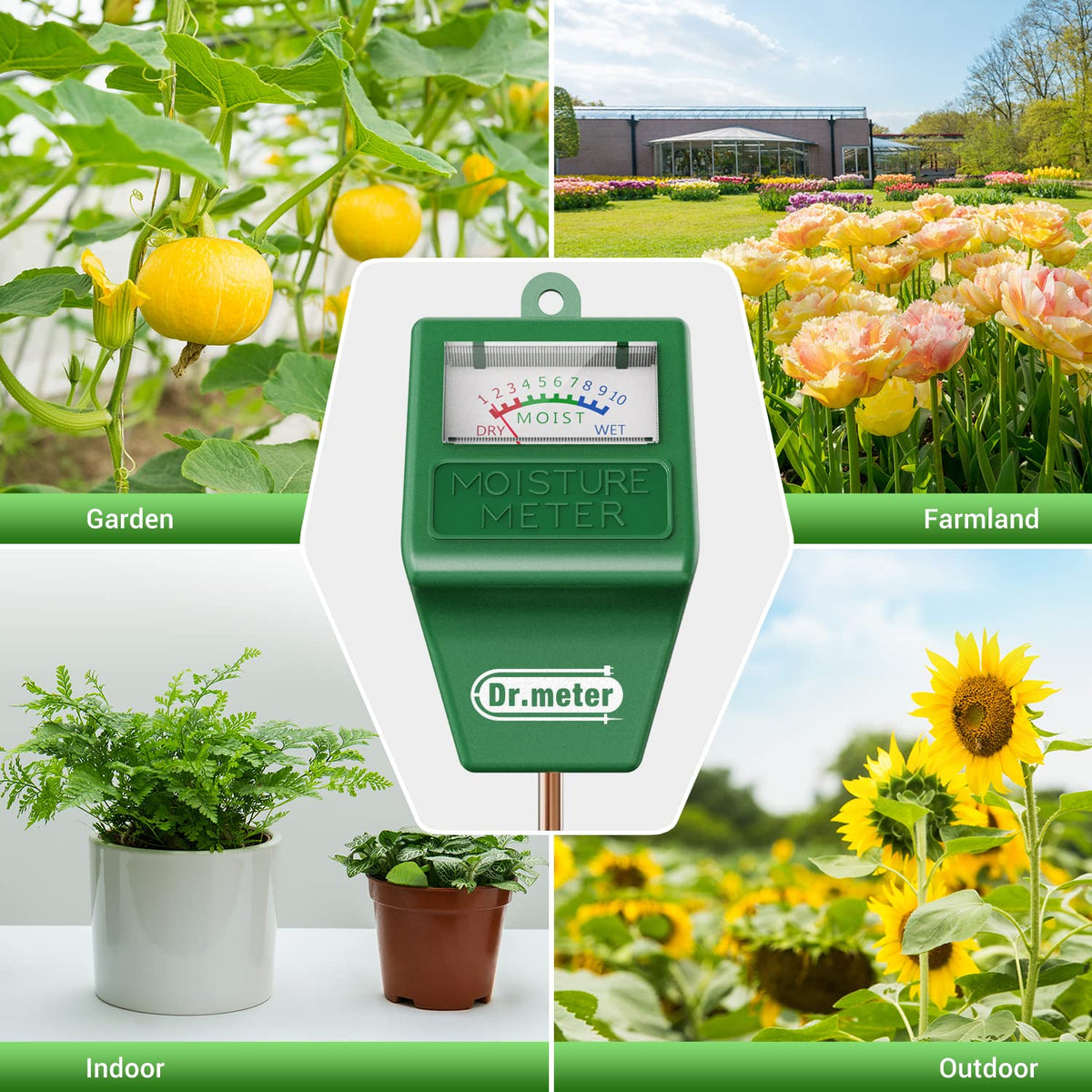 Dr.meter compact sensor in indoor pot supports healthy houseplants