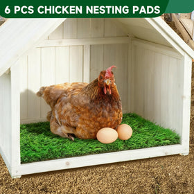 DRQ Nesting Pads keep coop cleaner by absorbing moisture and reducing odor