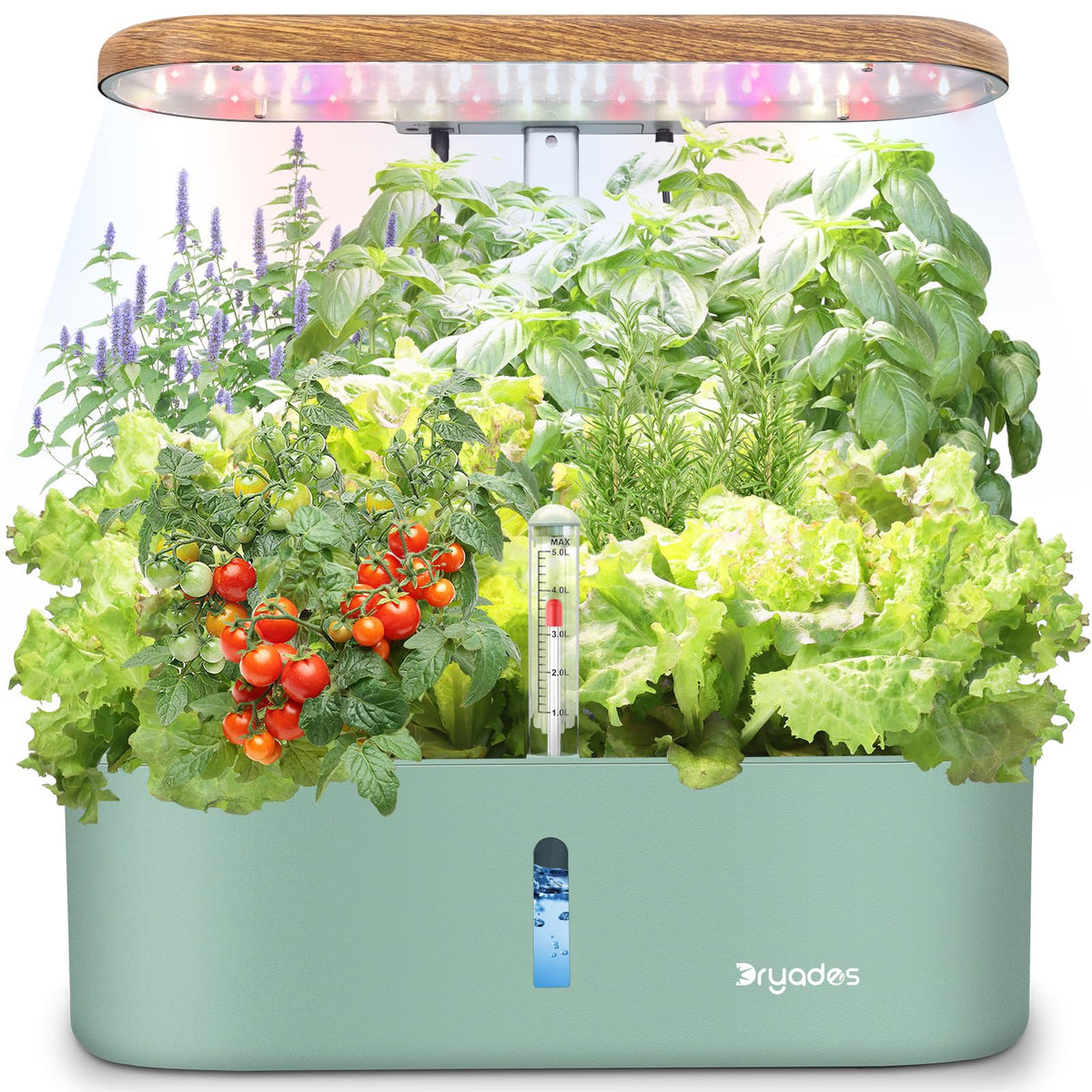 DRYADES 12-pod hydroponic system overview for a compact home garden.