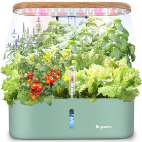 DRYADES 12-pod hydroponic system overview for a compact home garden.