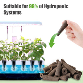 DRYADES 50-pack provides essential replacement sponges for multiple projects.