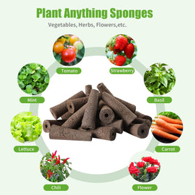 DRYADES grow sponges enable year-round indoor gardening with herbs and vegetables.