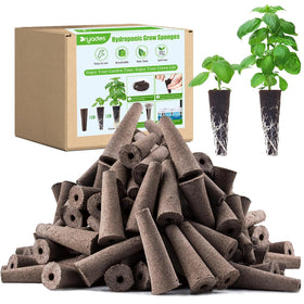 DRYADES grow sponges 50-pack in action for germination and root development.