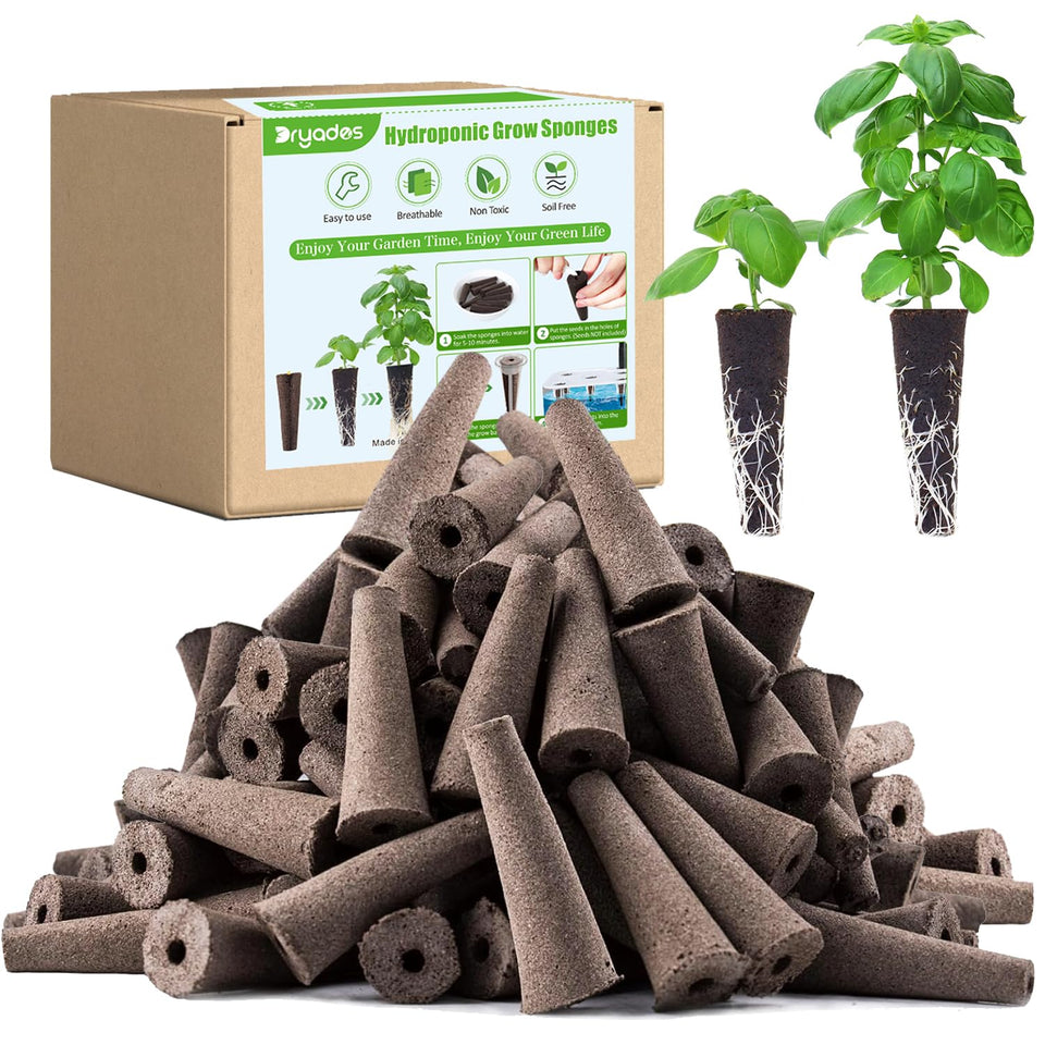 DRYADES grow sponges 50-pack in action for germination and root development.