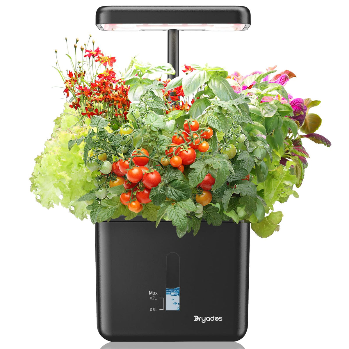 DRYADES Indoor Garden Self-Watering System showing a compact indoor planter setup for herbs