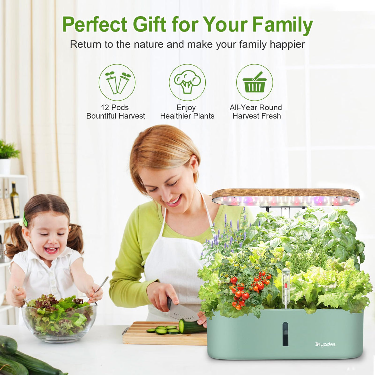 DRYADES indoor kitchen counter garden ready for year-round herbs.