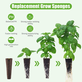 DRYADES seed pods compatible with AeroGarden and others for easy replacement.