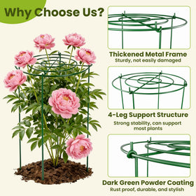 DSTANA 23.6-inch support legs stabilize heavy plants against wind.
