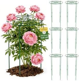 DSTANA six-pack peony cages for sturdy garden support and bloom stability.