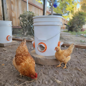 DSTANA chicken feeder port enables spill reduction and clean coop environments.
