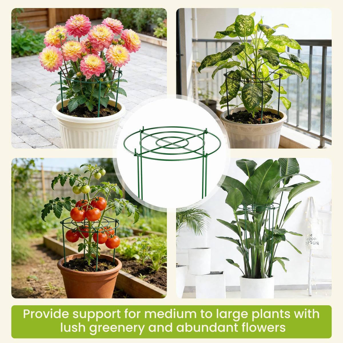 DSTANA installation video guides quick, secure setup for healthy plant support.
