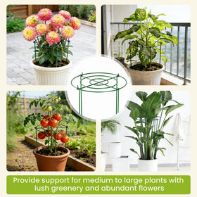 DSTANA installation video guides quick, secure setup for healthy plant support.