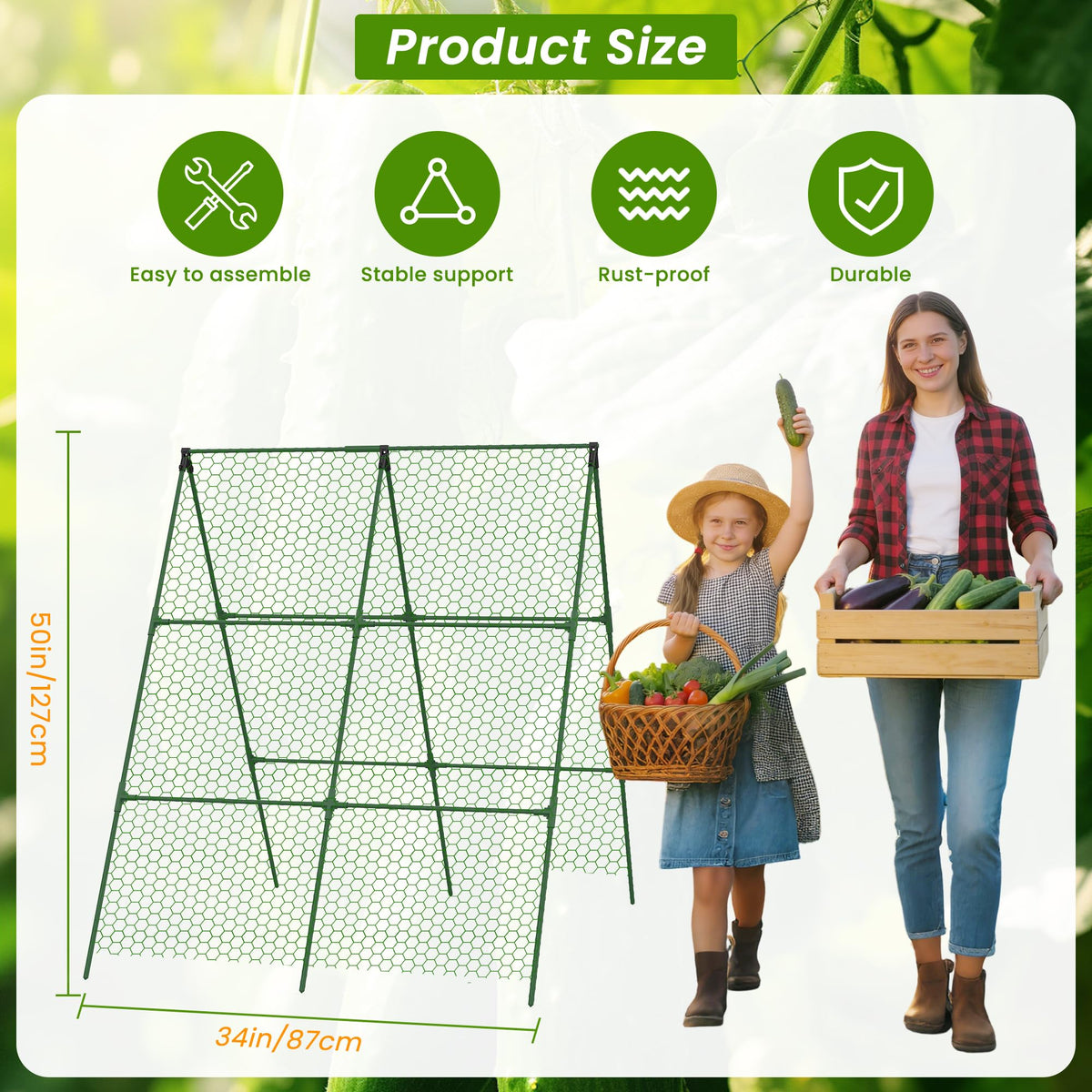 DSTANA rustproof steel-core trellis withstands outdoor conditions.