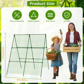 DSTANA rustproof steel-core trellis withstands outdoor conditions.