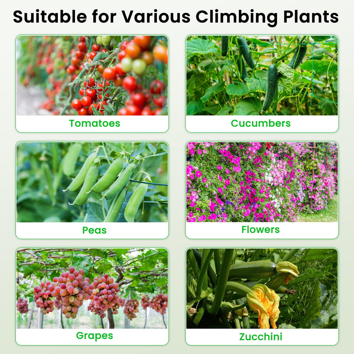 DSTANA package includes components for quick setup and durable outdoor use.