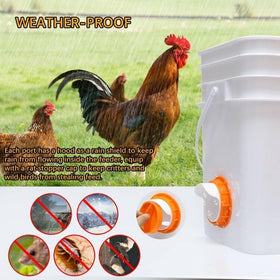 DSTANA waterproof and mice-proof cover protects feed from rain and pilfering.