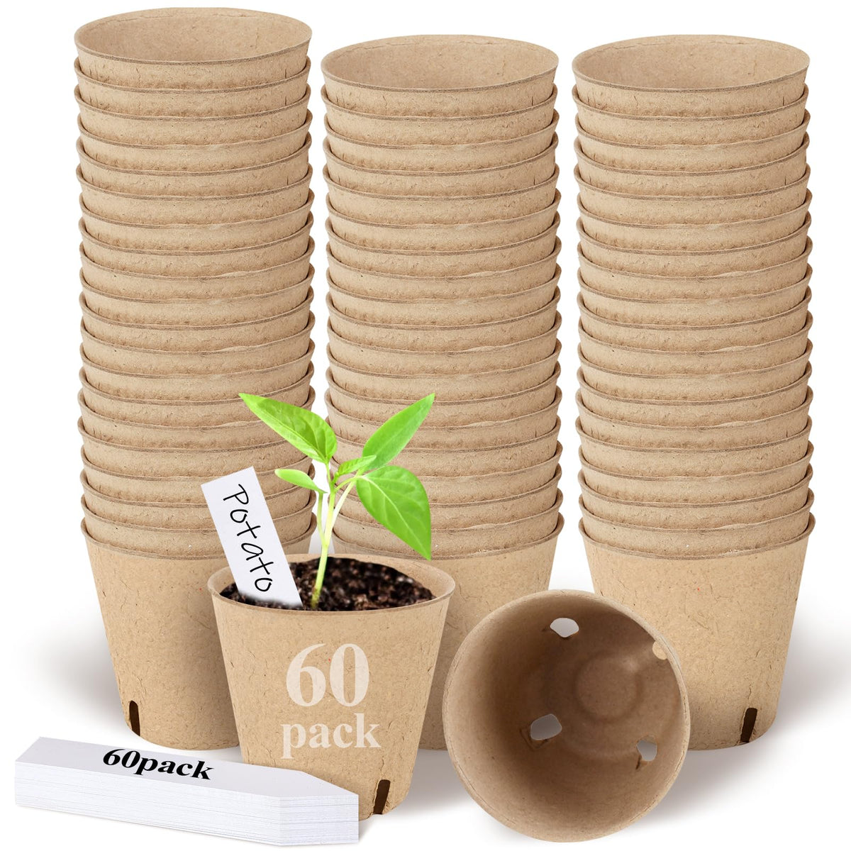 DSUWAZU peat pots in 3.15-inch round format for easy seed starting.