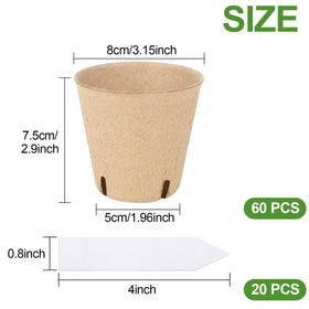 DSUWAZU peat pots with drainage holes prevent overwatering and support healthy moisture.