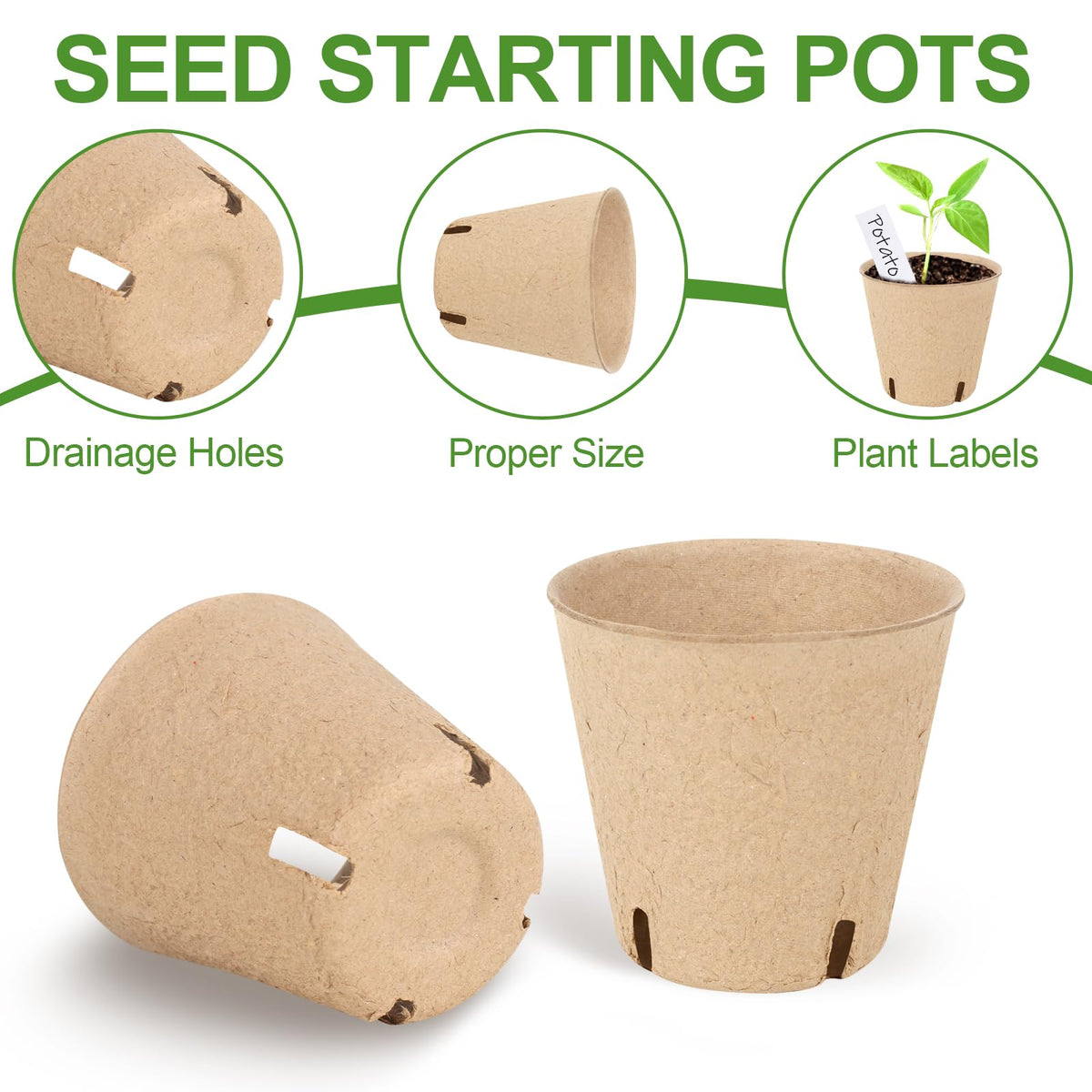 DSUWAZU bonus plant labels help clearly identify seedlings.