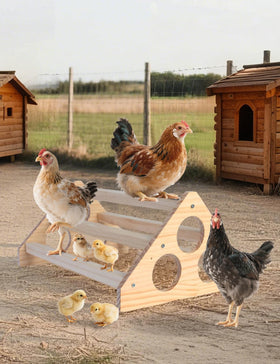 DsyysdS chicken perch triangle design highlights stability and safer footing.