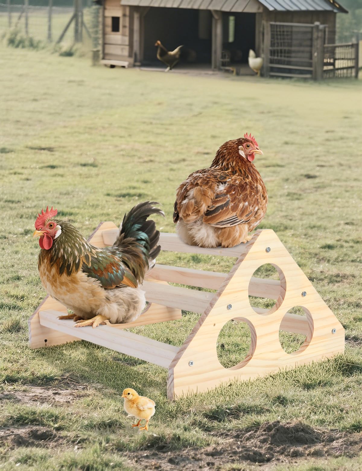 DsyysdS durable chicken roost bar enhances coop organization and space use.
