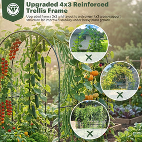 DTIG trellis 4×3 support—strong vertical growing aid for beans, cucumbers, and tomatoes