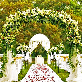 DTnature metal garden arbor black finish adds timeless elegance