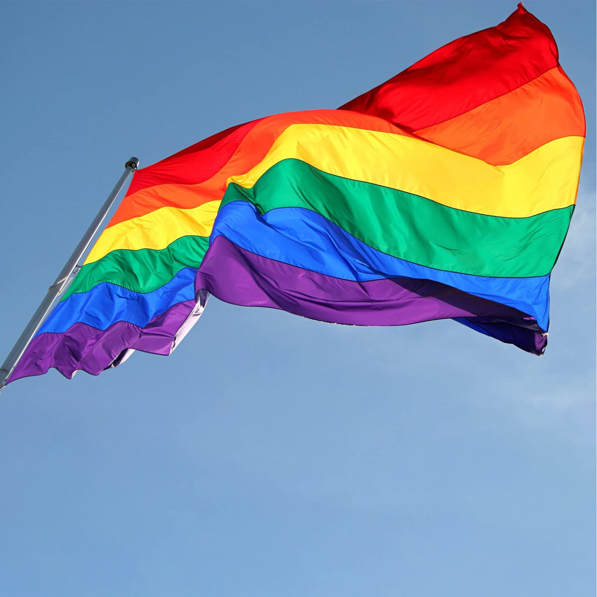 ducuh Bright colors of the Rainbow Flag stand out in any light