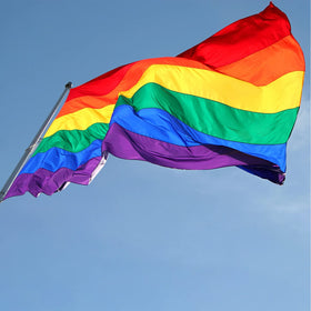ducuh Bright colors of the Rainbow Flag stand out in any light