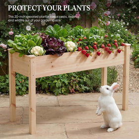 DUMOS outdoor patio setup with elevated planter bed
