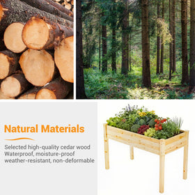 DUMOS fir wood texture close-up emphasizes durable outdoor construction