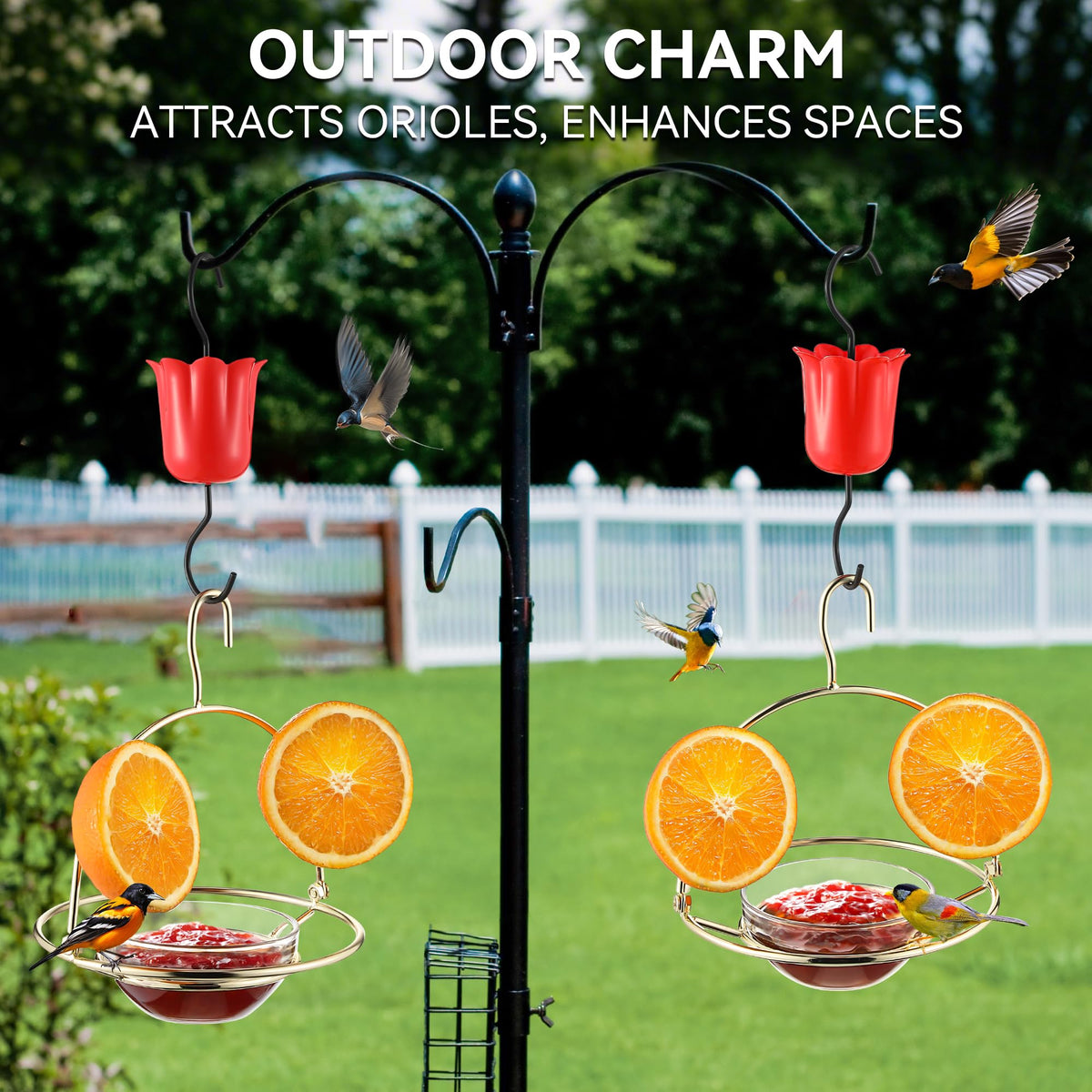 Dunkive oriole feeder with fruit holder for citrus snacks in the garden.