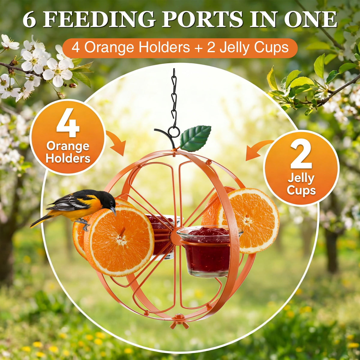 Dunkive Oriole Feeder glass bowls removable for quick cleaning after meals.