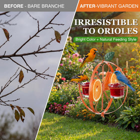 Dunkive Oriole Feeder jelly cups showcase grape jelly for fruity bird treats.