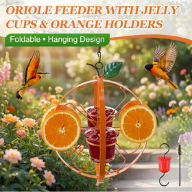 Dunkive Oriole Feeder orange holders support fresh fruit halves for bright backyard color.