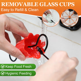 Dunkive Oriole Feeder outdoor use suits gardens, trees, or pergolas for natural viewing.