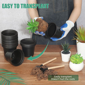DUNPUTE 120-pack offers cost-effective starter pots for seeds and cuttings.