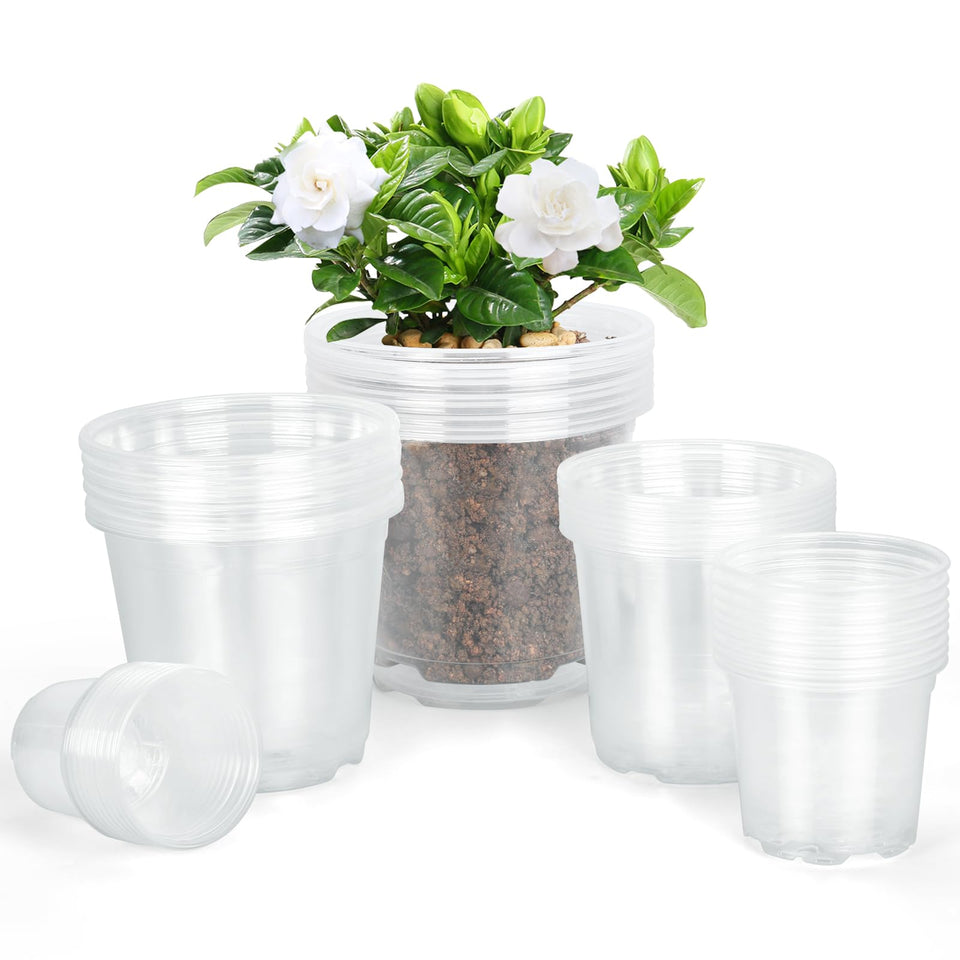 DUNPUTE 3-inch clear nursery pot with drainage holes for seed starting and moisture checks.