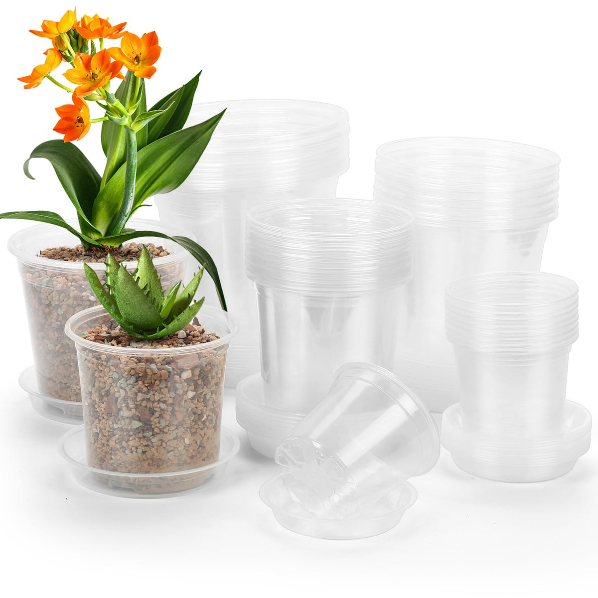 DUNPUTE 4-inch clear nursery pot with drainage promotes healthy root airflow.