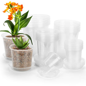 DUNPUTE 4-inch clear nursery pot with drainage promotes healthy root airflow.
