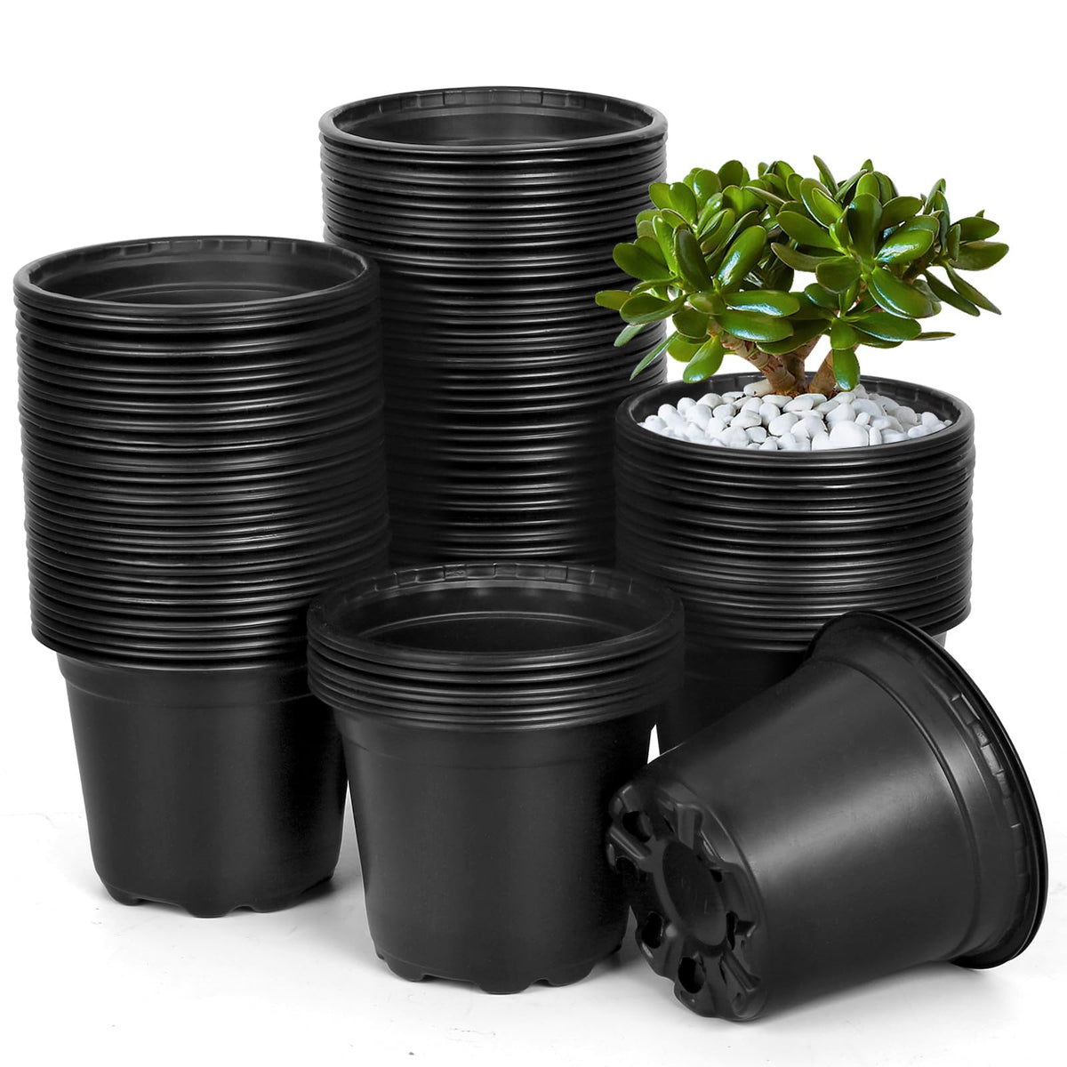 DUNPUTE 4-Inch nursery pot with a 120-pack for seed starting and easy handling.