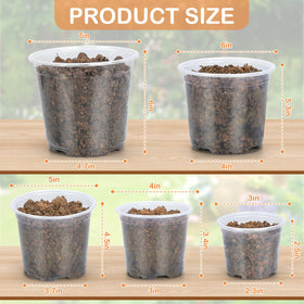 DUNPUTE 4-inch clear nursery pot enabling quick moisture monitoring and root observation.