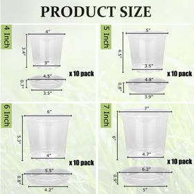 DUNPUTE 5-inch clear nursery pot with drainage supports easy moisture monitoring.