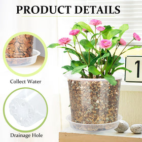 DUNPUTE 6-inch clear nursery pot with drainage helps prevent overwatering.
