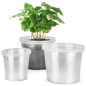 DUNPUTE 6-inch clear nursery pot with drainage for easy root monitoring.