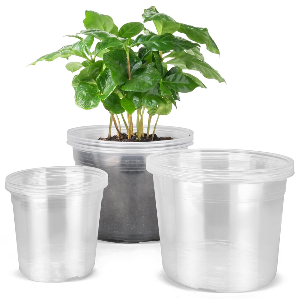 DUNPUTE 6-inch clear nursery pot with drainage for easy root monitoring.